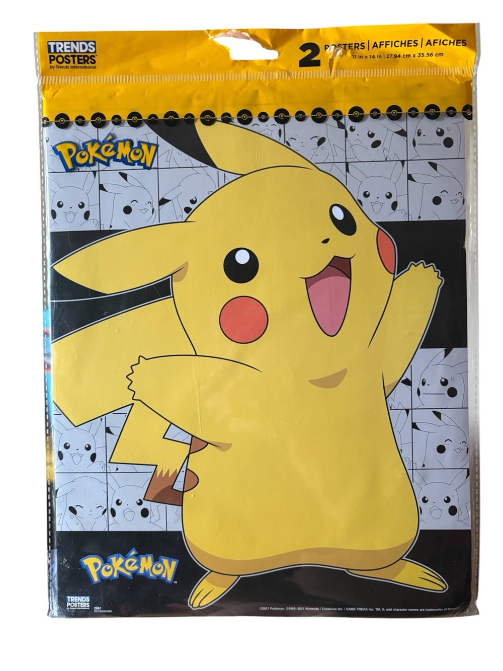 Pokémon Pikachu & Friends 2 Pack Poster